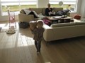 IMG_9831