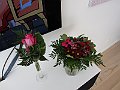 IMG_0135
