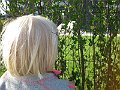 IMG_0679