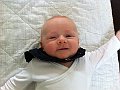 IMG_1536