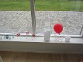 IMG_1019