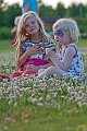 IMG_1226d