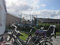 IMG_1481