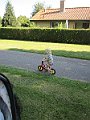 IMG_1599