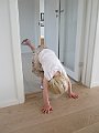 IMG_1470