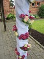 IMG_1828