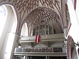 IMG_2956