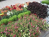 IMG_3014