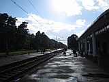 IMG_3206