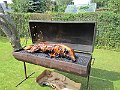 IMG_1879