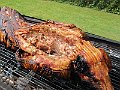 IMG_1892