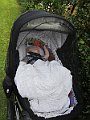 IMG_1954