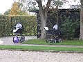 IMG_3662