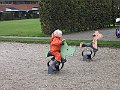 IMG_3664