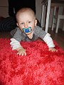IMG_3726