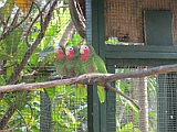 IMG_4352