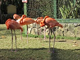 IMG_4367