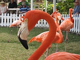 IMG_4409