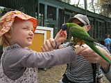 IMG_4466