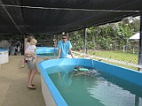 IMG_4781