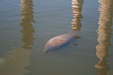IMG_0586