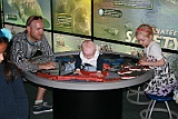 IMG_0631