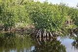 IMG_1397