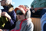 IMG_1401