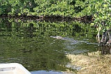 IMG_1407