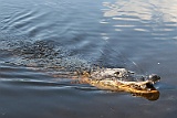 IMG_1412
