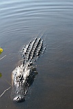 IMG_1421