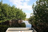IMG_1423
