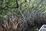 IMG_1432