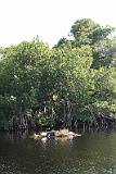 IMG_1438