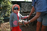 IMG_1477