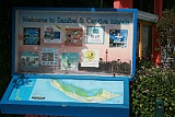 IMG_1517