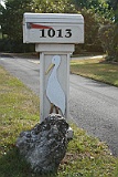 IMG_1552