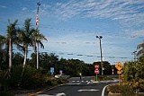 IMG_1559