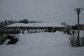IMG_1677