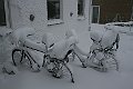 IMG_1679