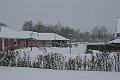 IMG_1687