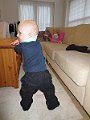 IMG_0081