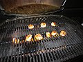IMG_0327