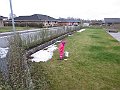 IMG_0243