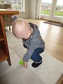 IMG_0414
