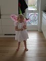 IMG_1226