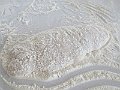 IMG_1229