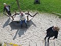 IMG_1356
