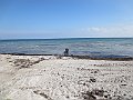 IMG_1378