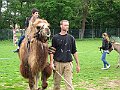 IMG_1520